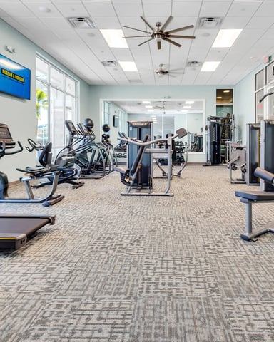 Spacious fitness center with cardio equipment, weight machines, and large windows overlooking palm trees and outdoor landscaping.
